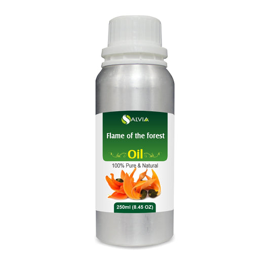 Flame of the Forest Oil