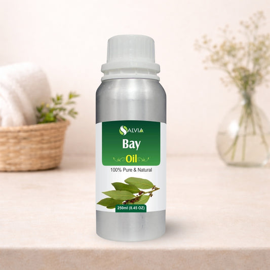 Bay Oil