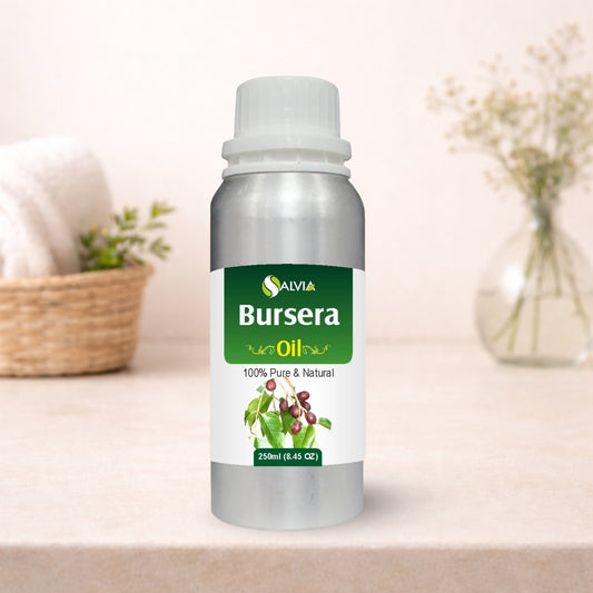 Bursera oil