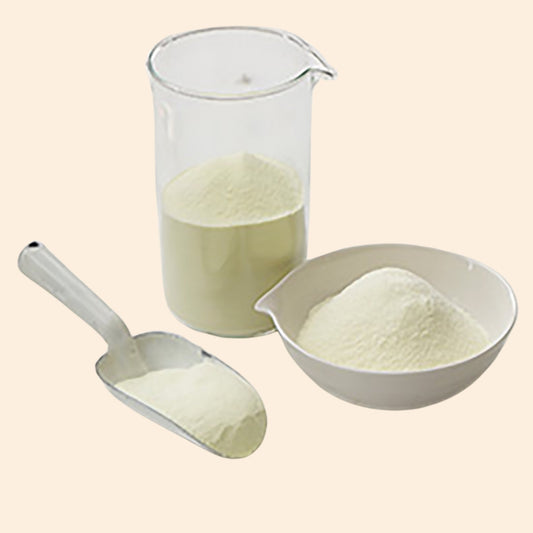 Camel Milk Powder