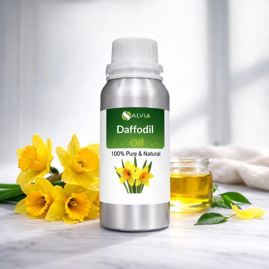 Daffodil Oil
