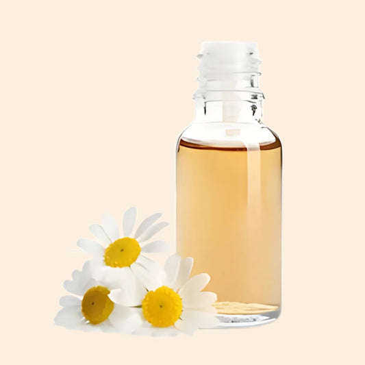 Daisy Flower Herbal Liquid Extract