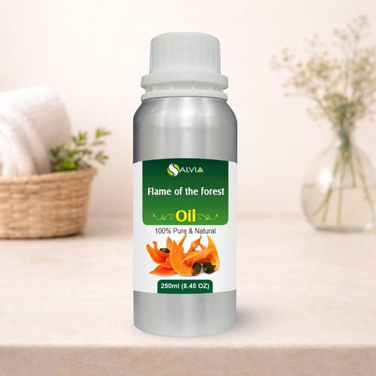 Flame of the Forest Oil