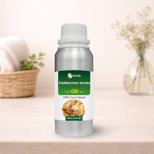 Frankincense Serrata Oil