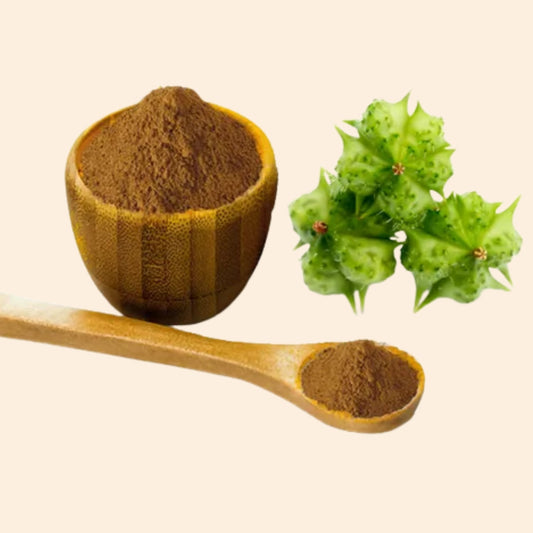 Gokhru Dry Extract