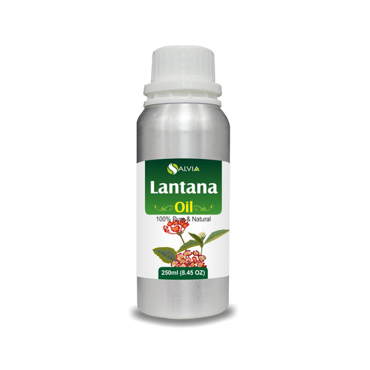 Lantana Essential Oil