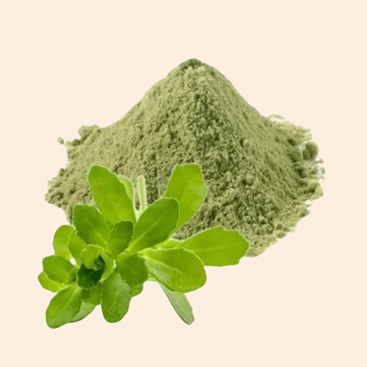 Nir Brahmi Dry Extract