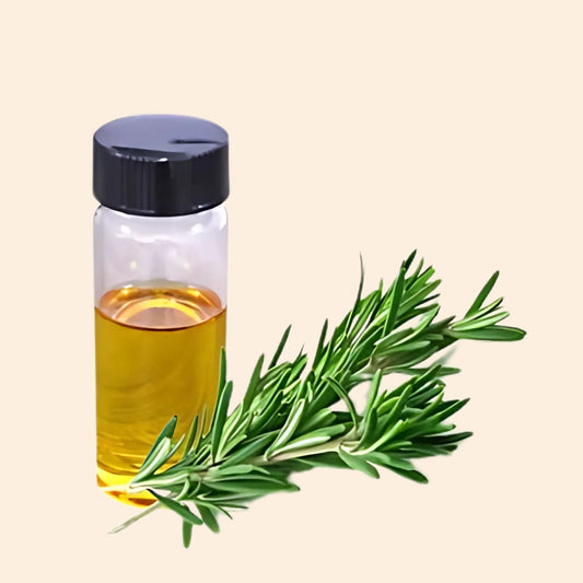 Rosemary Herbal Liquid Extract