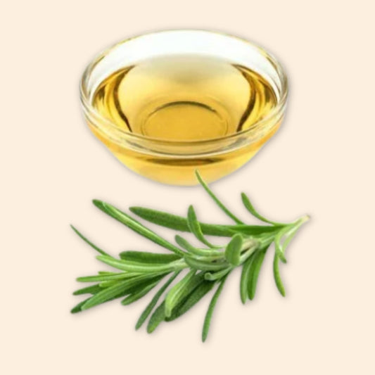 Rosemary Extract