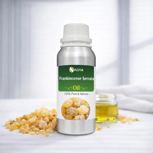 Frankincense Serrata Oil