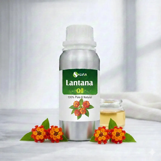 Lantana Oil