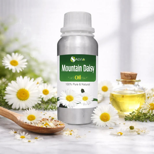 Mountain Daisy Oil