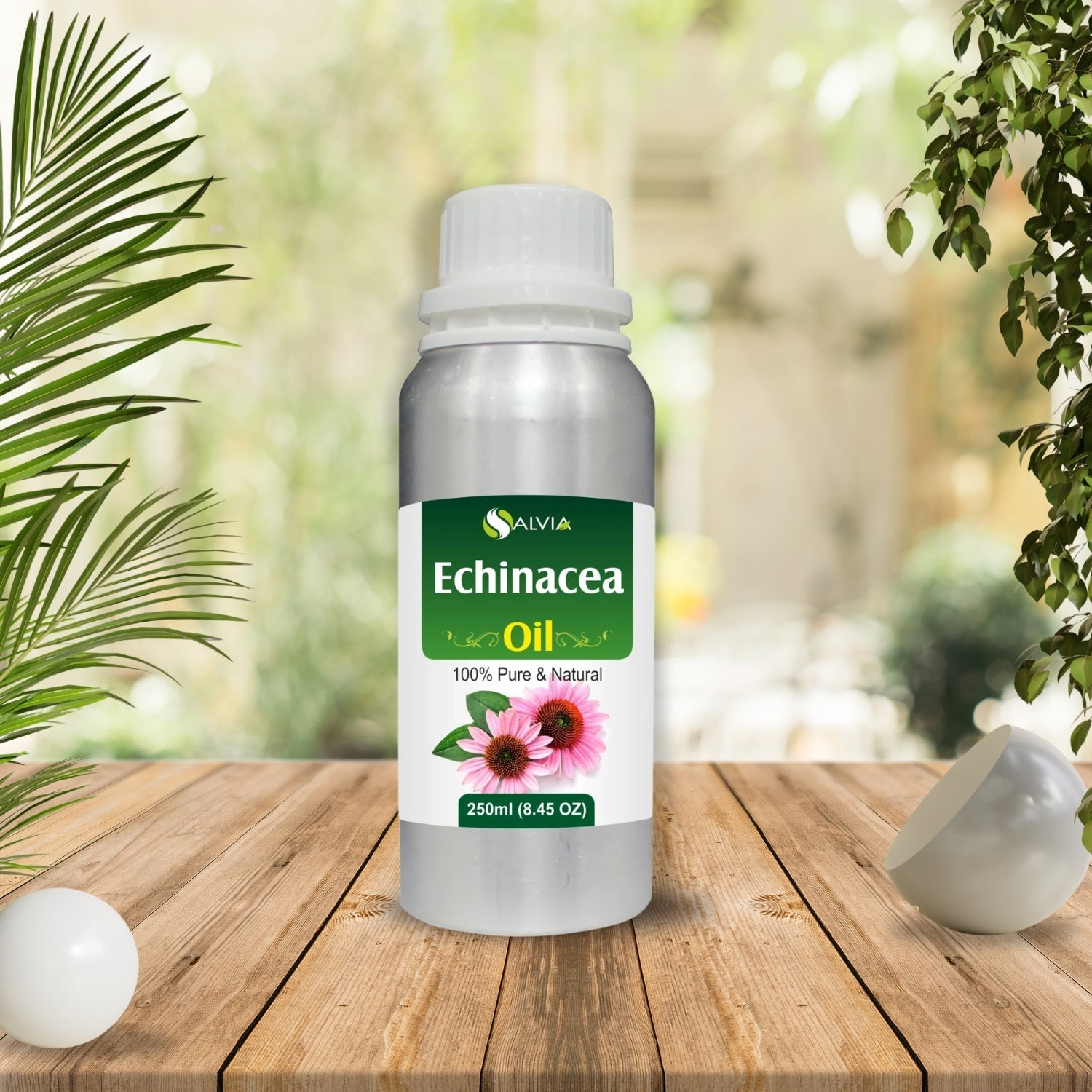 Echinacea Oil