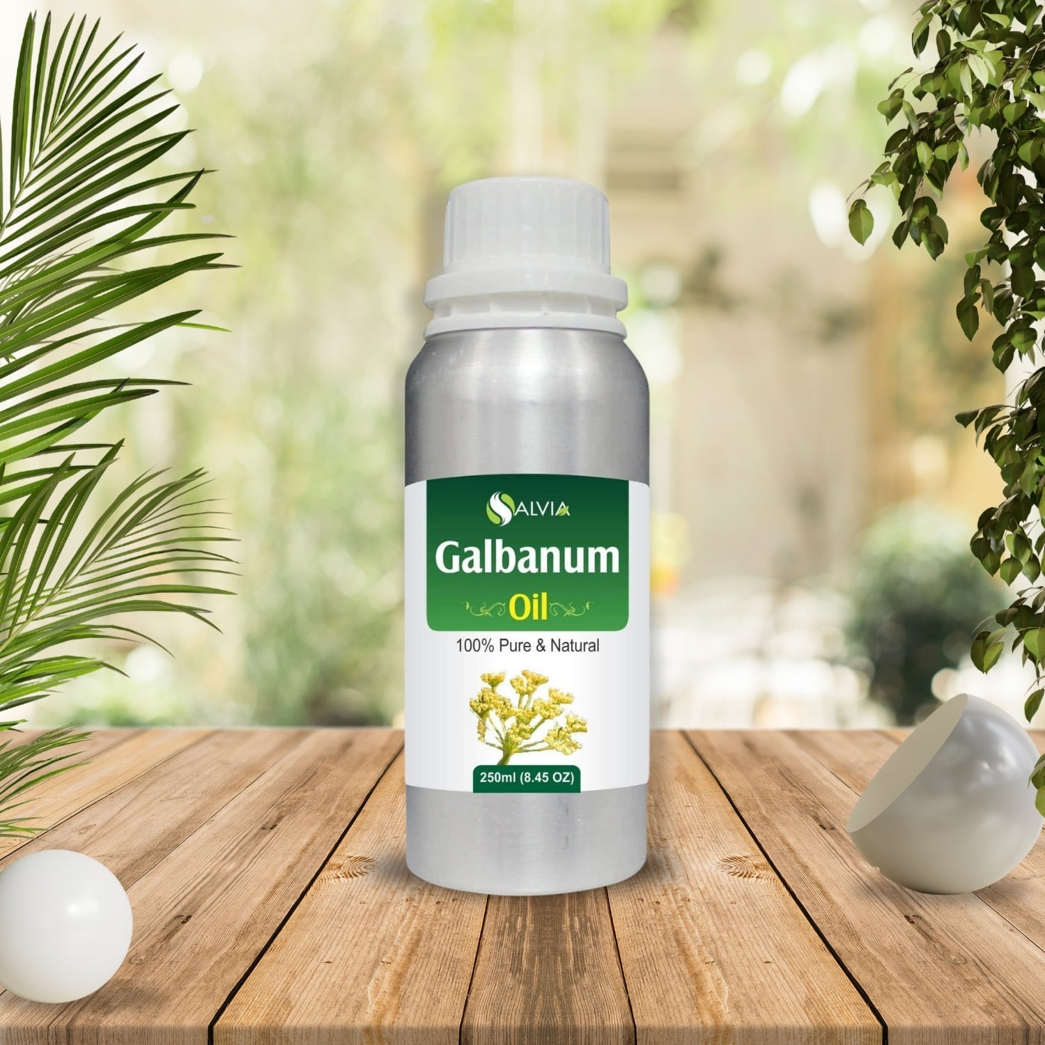 Galbanum Oil