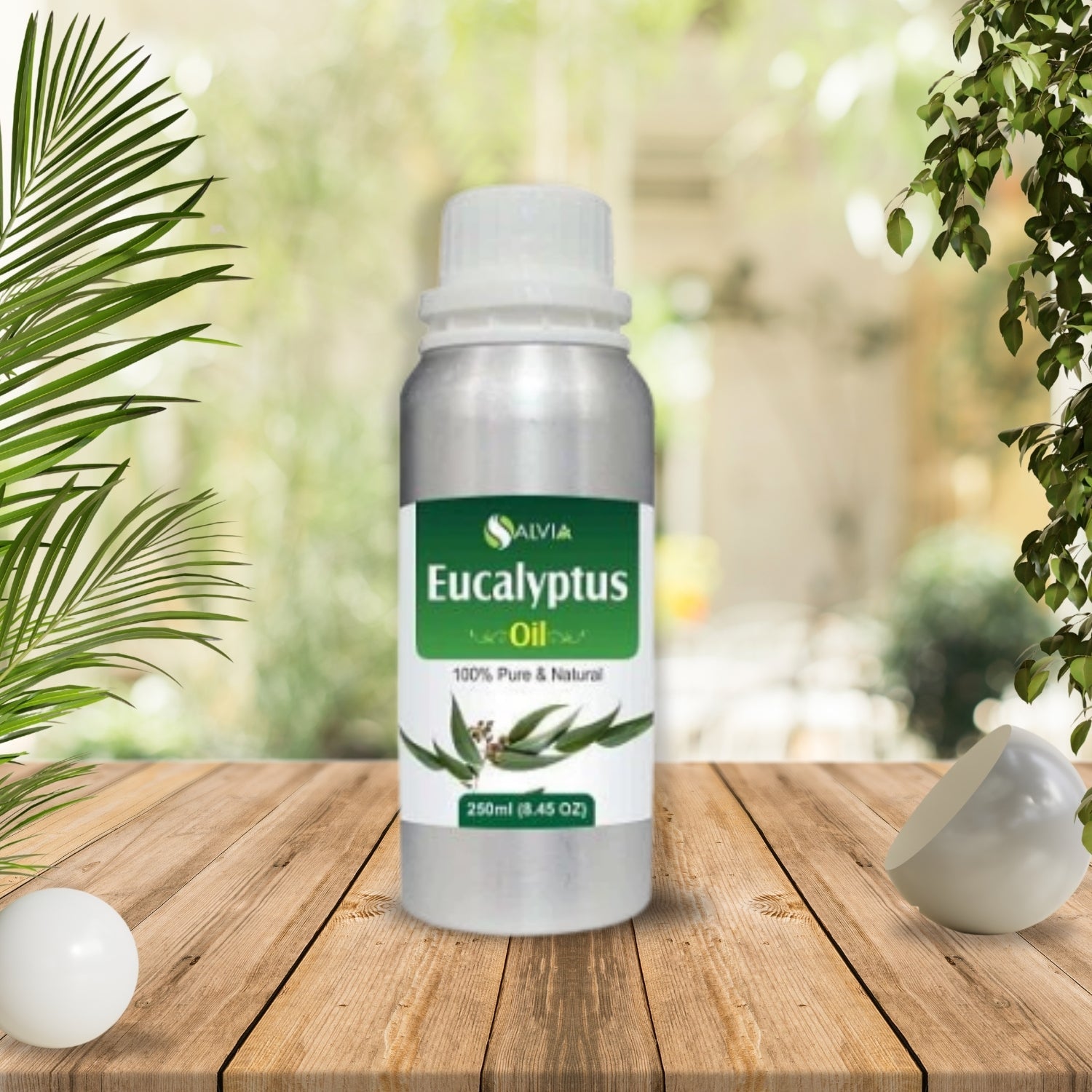 Eucalyptus Oil