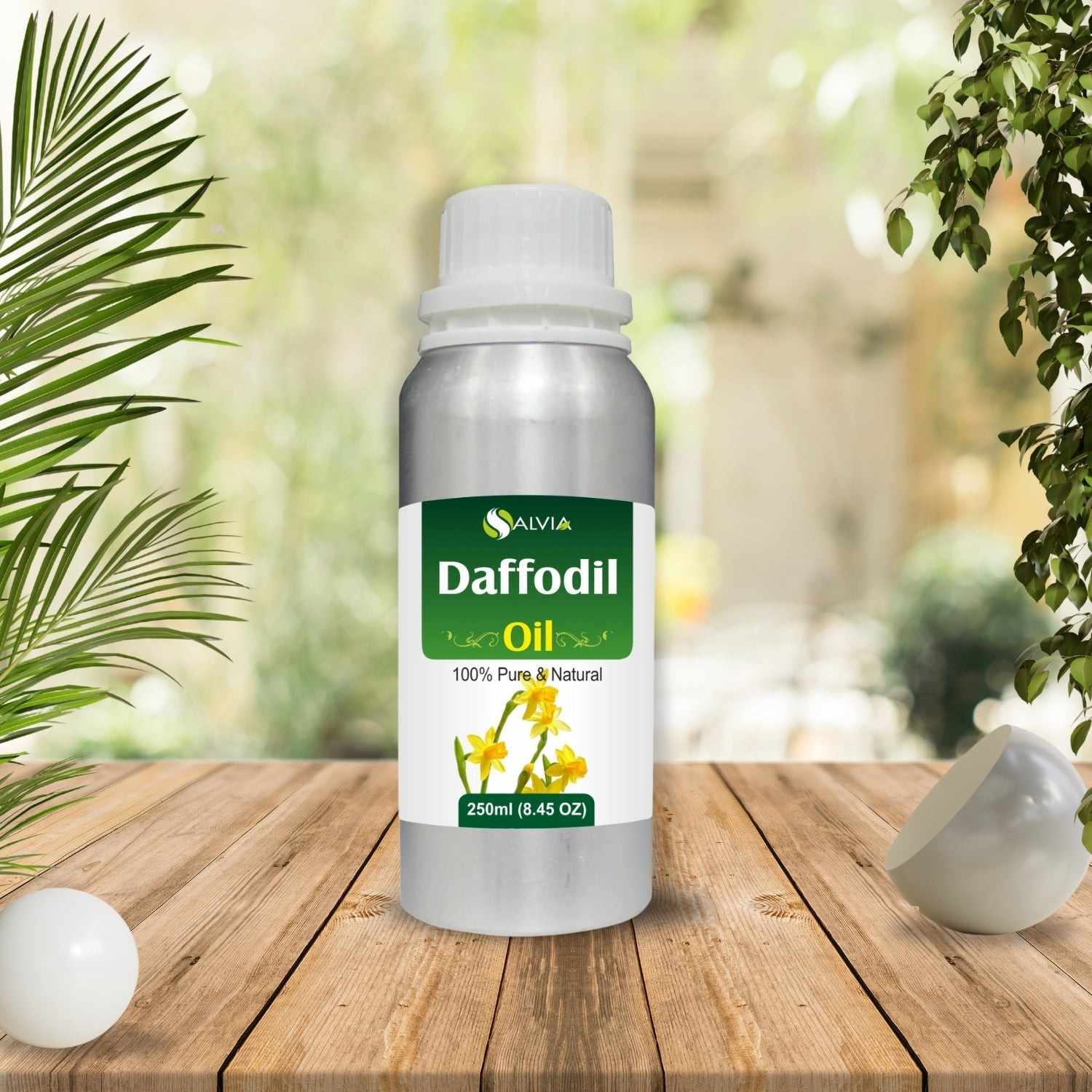 Daffodil Oil
