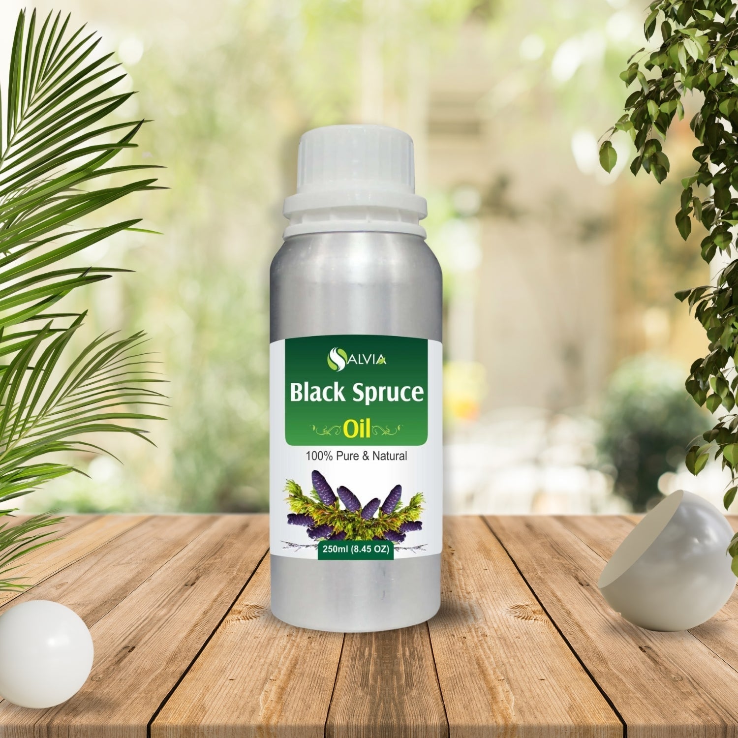 Black Spruce Oil