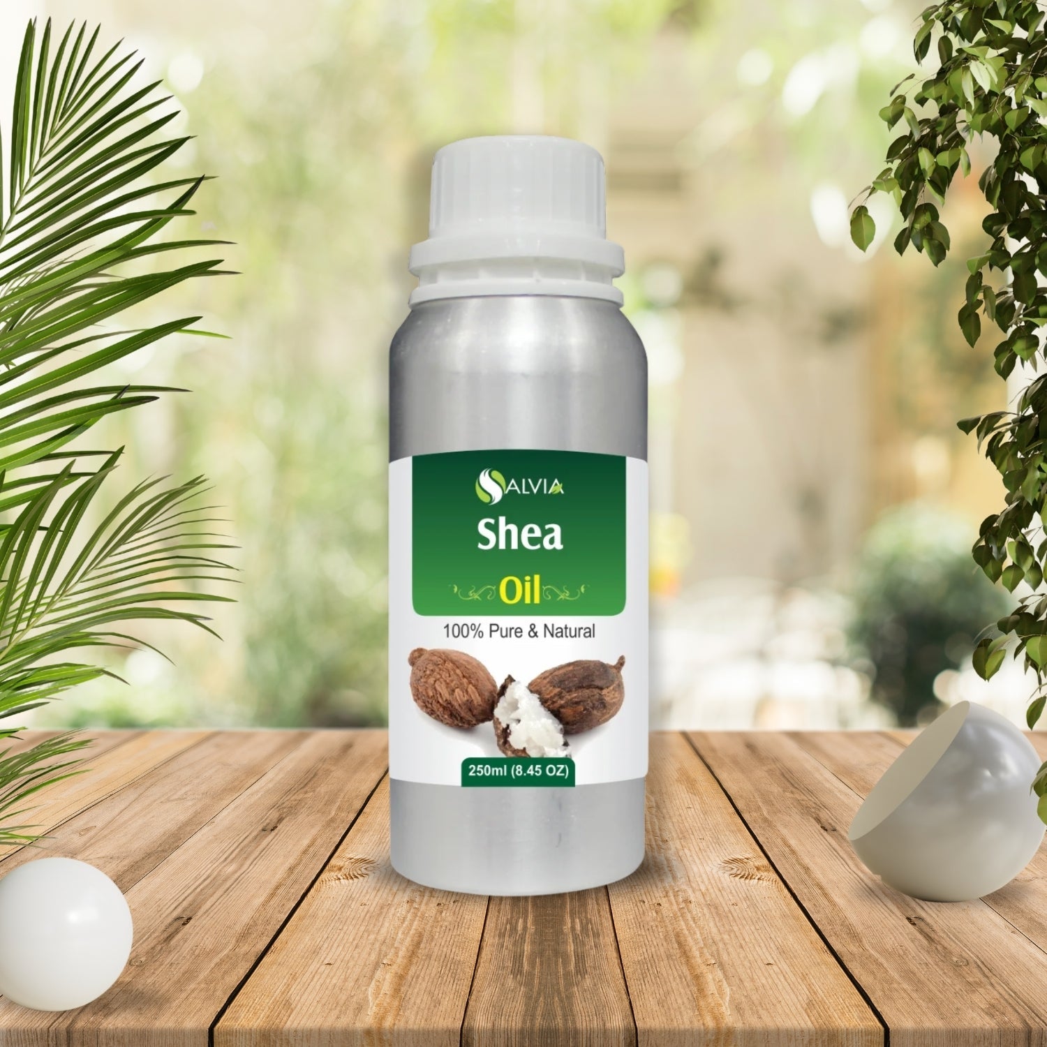 Shea Oil