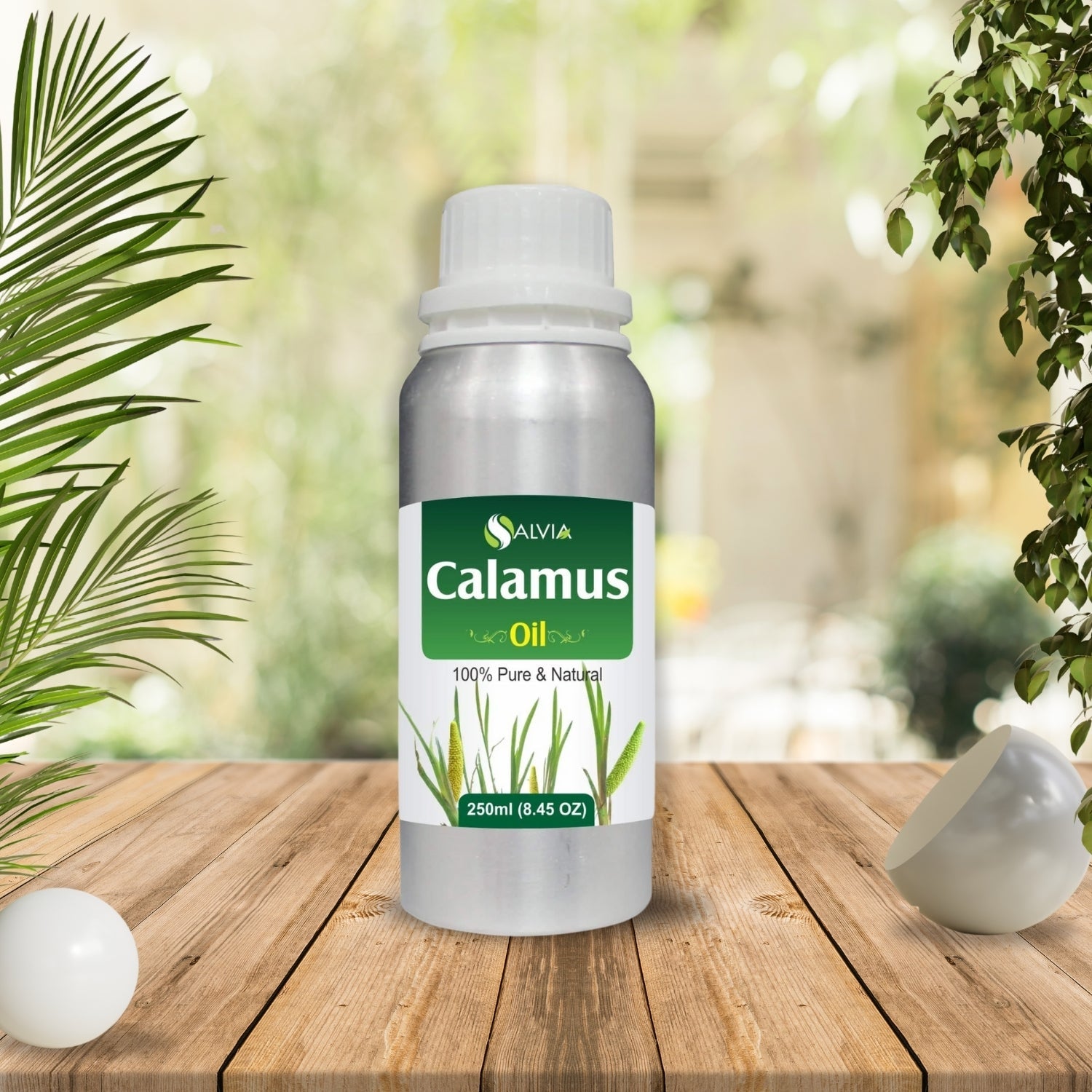 Calamus Essential Oil