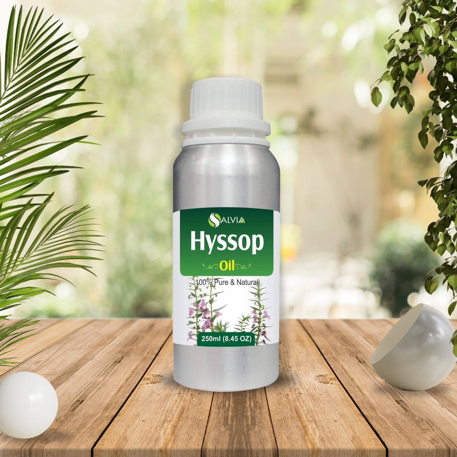 Hyssop Oil
