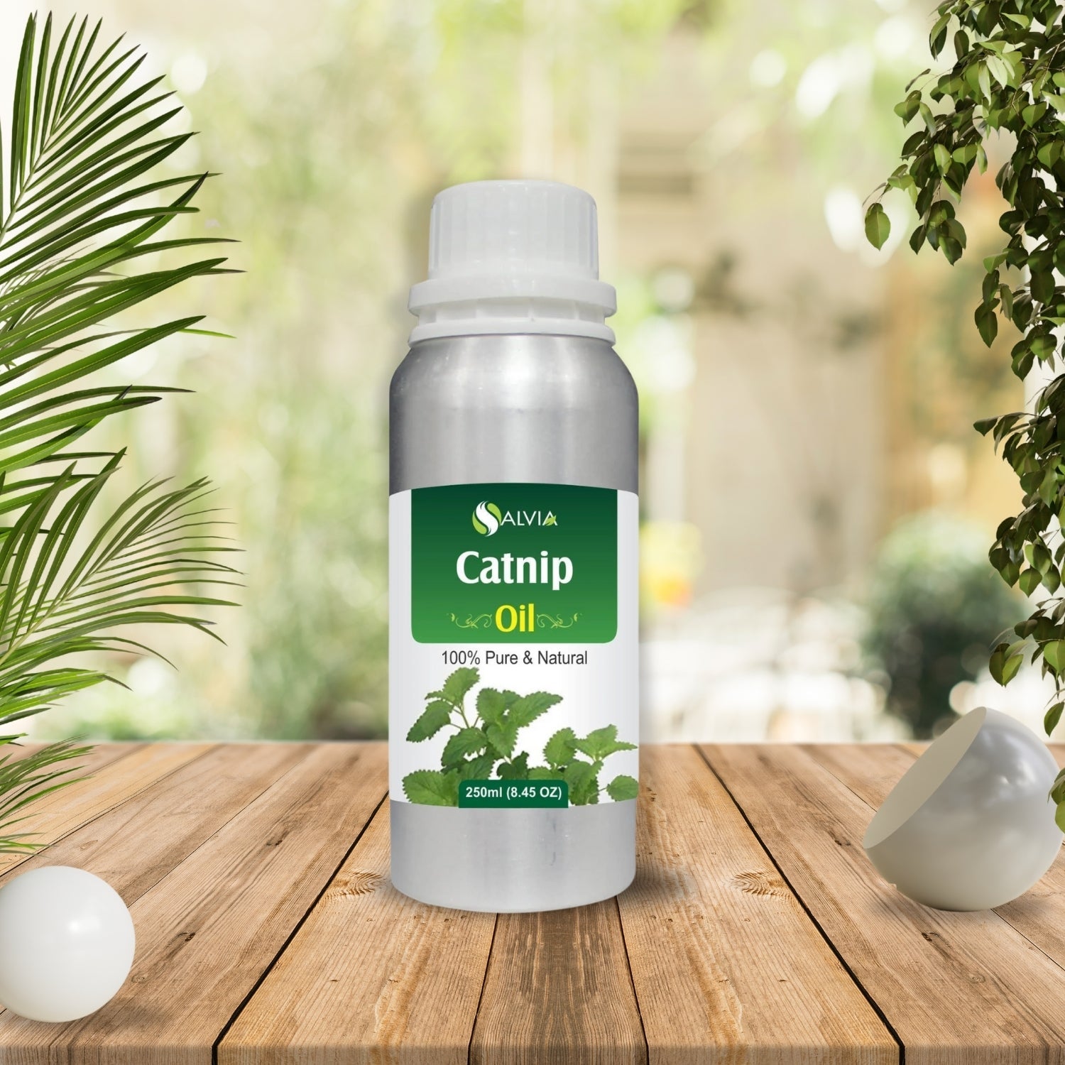 Catnip Oil