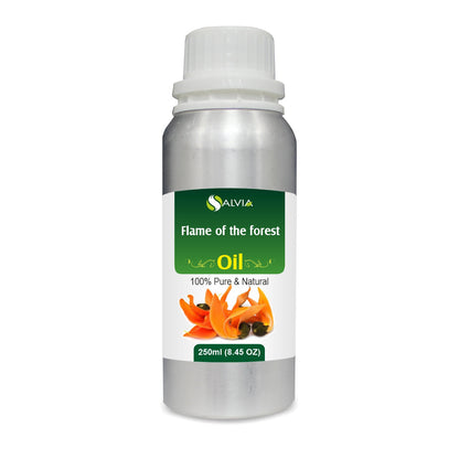 Flame of the Forest Oil