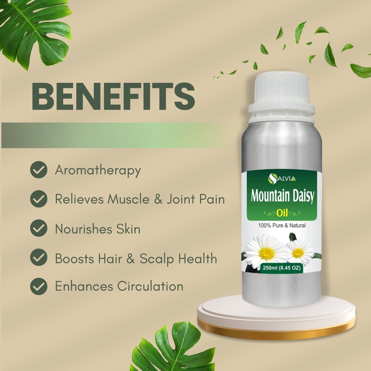 Mountain Daisy Oil