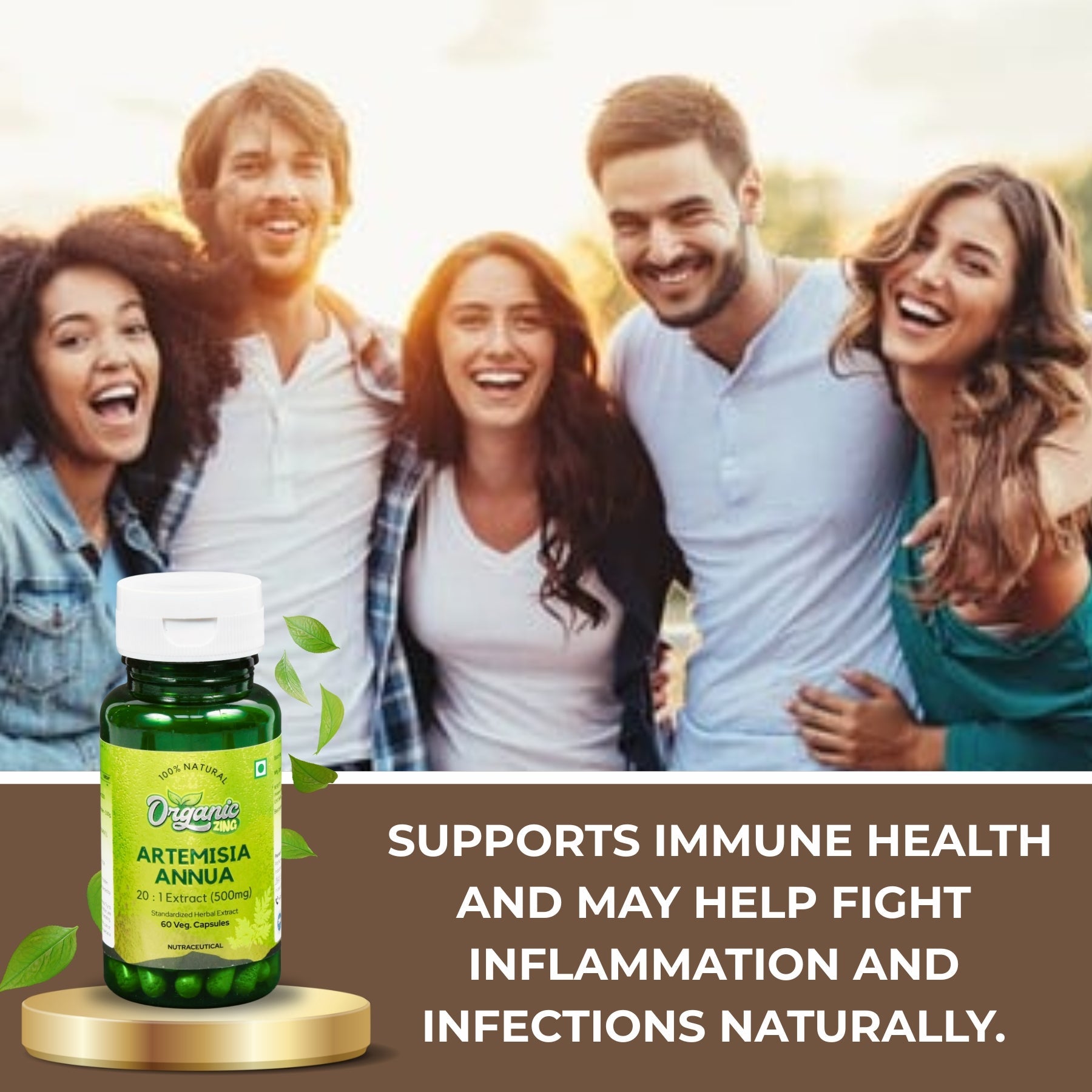 Artemisia Annua 20:1 Extract Capsules – 60