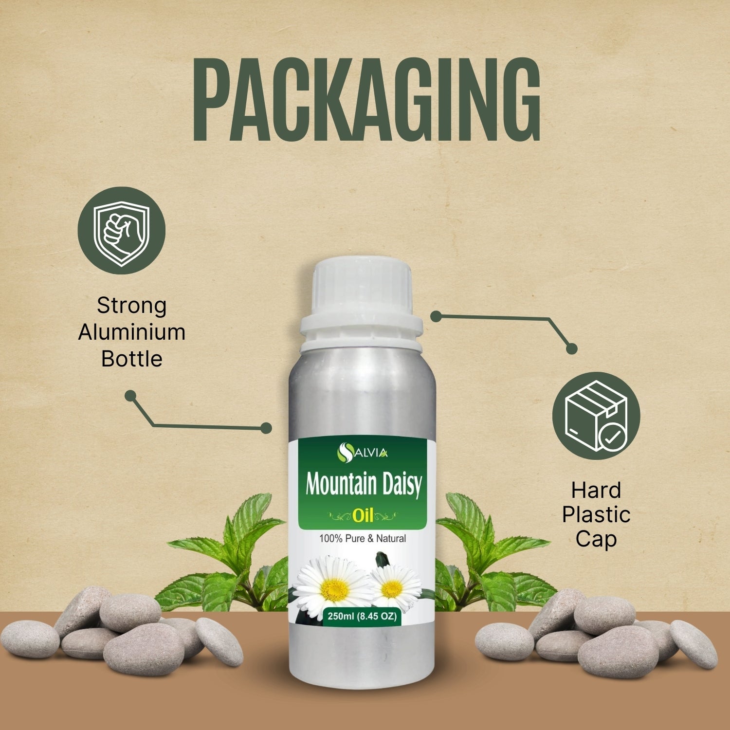 Mountain Daisy Oil