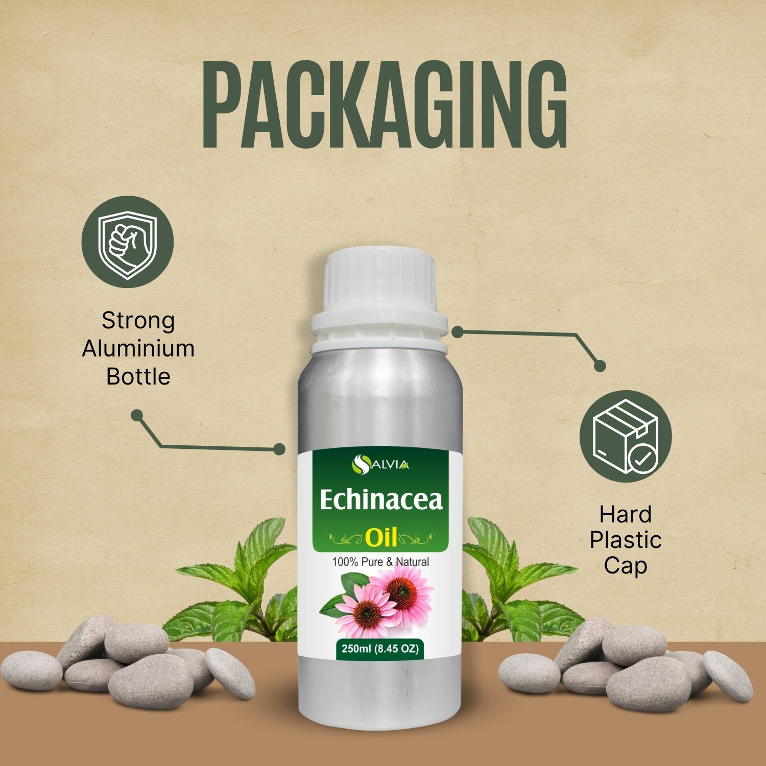Echinacea Oil