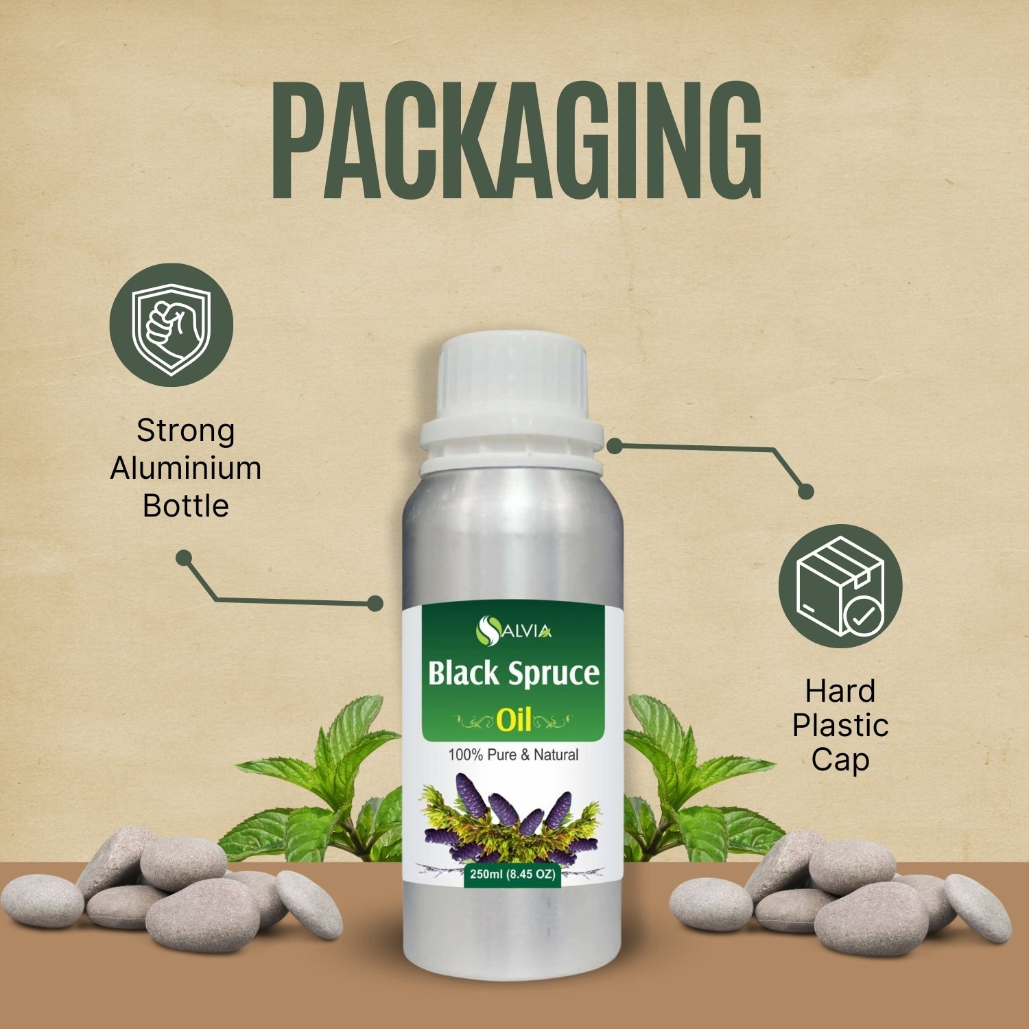 Black Spruce Oil
