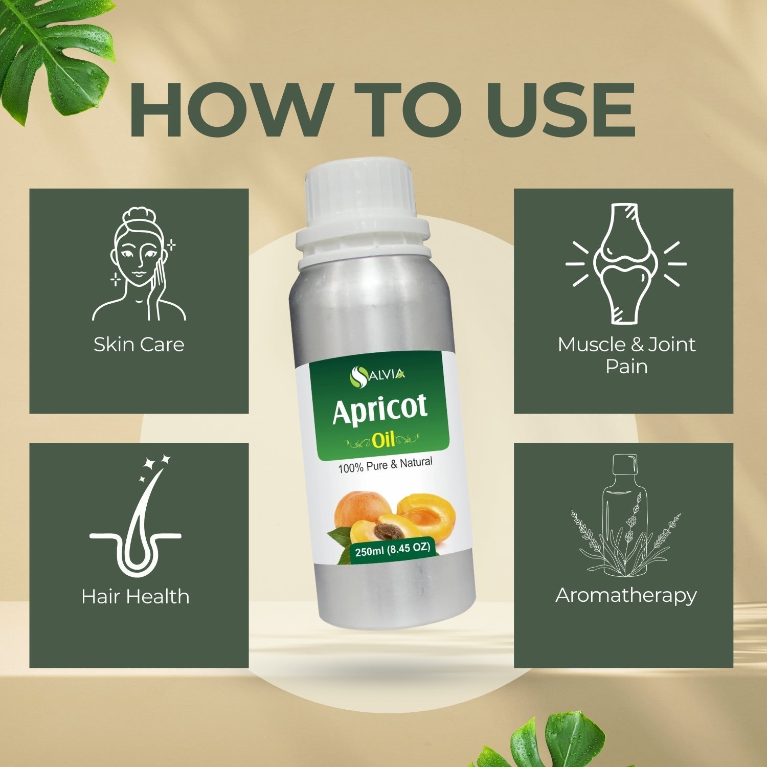 Apricot Oil