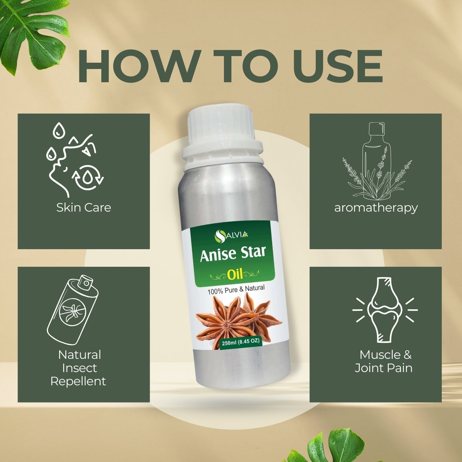 Anise Star Essential Oil