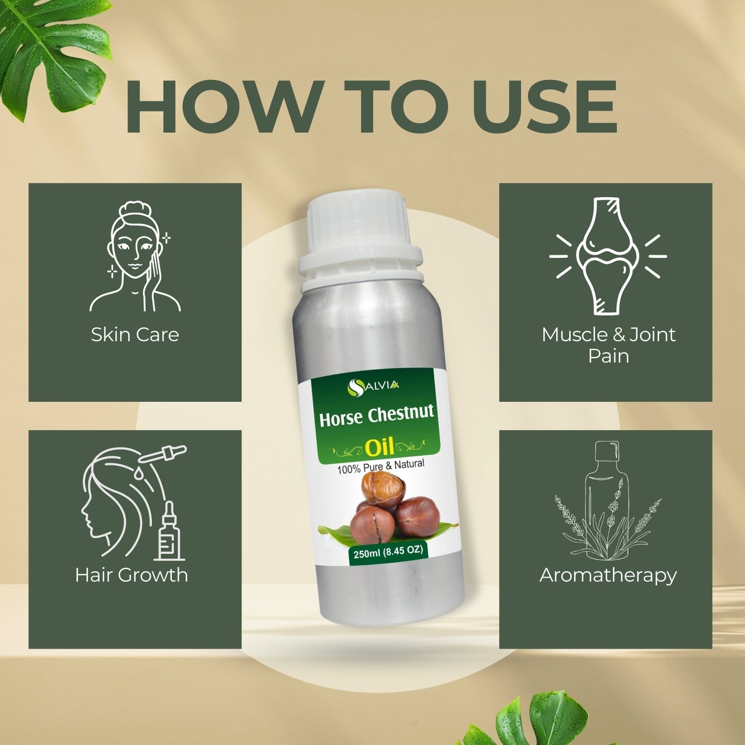 Horse Chestnut Oil