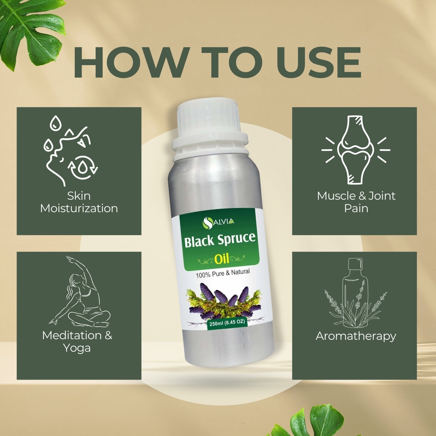 Black Spruce Oil