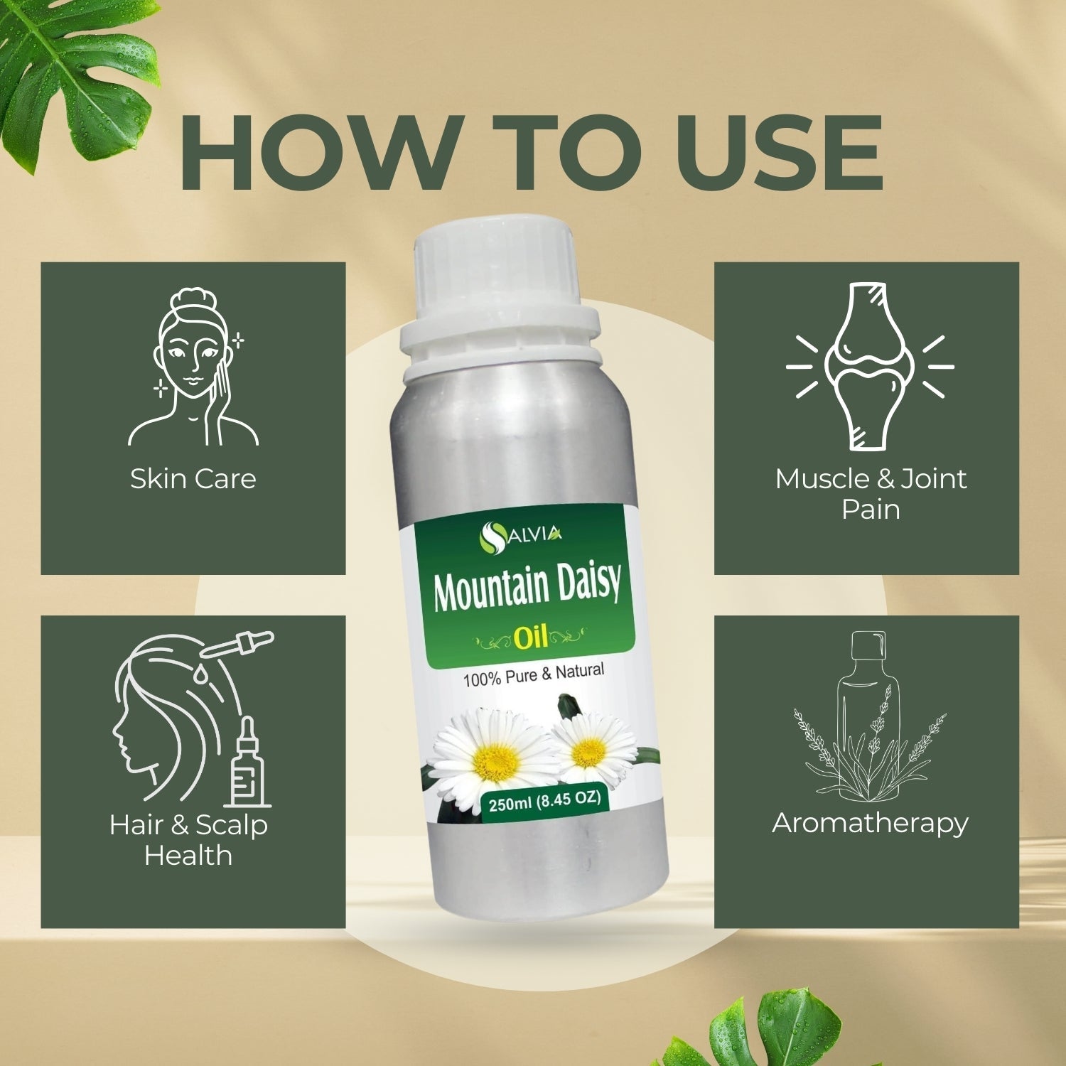 Mountain Daisy Oil