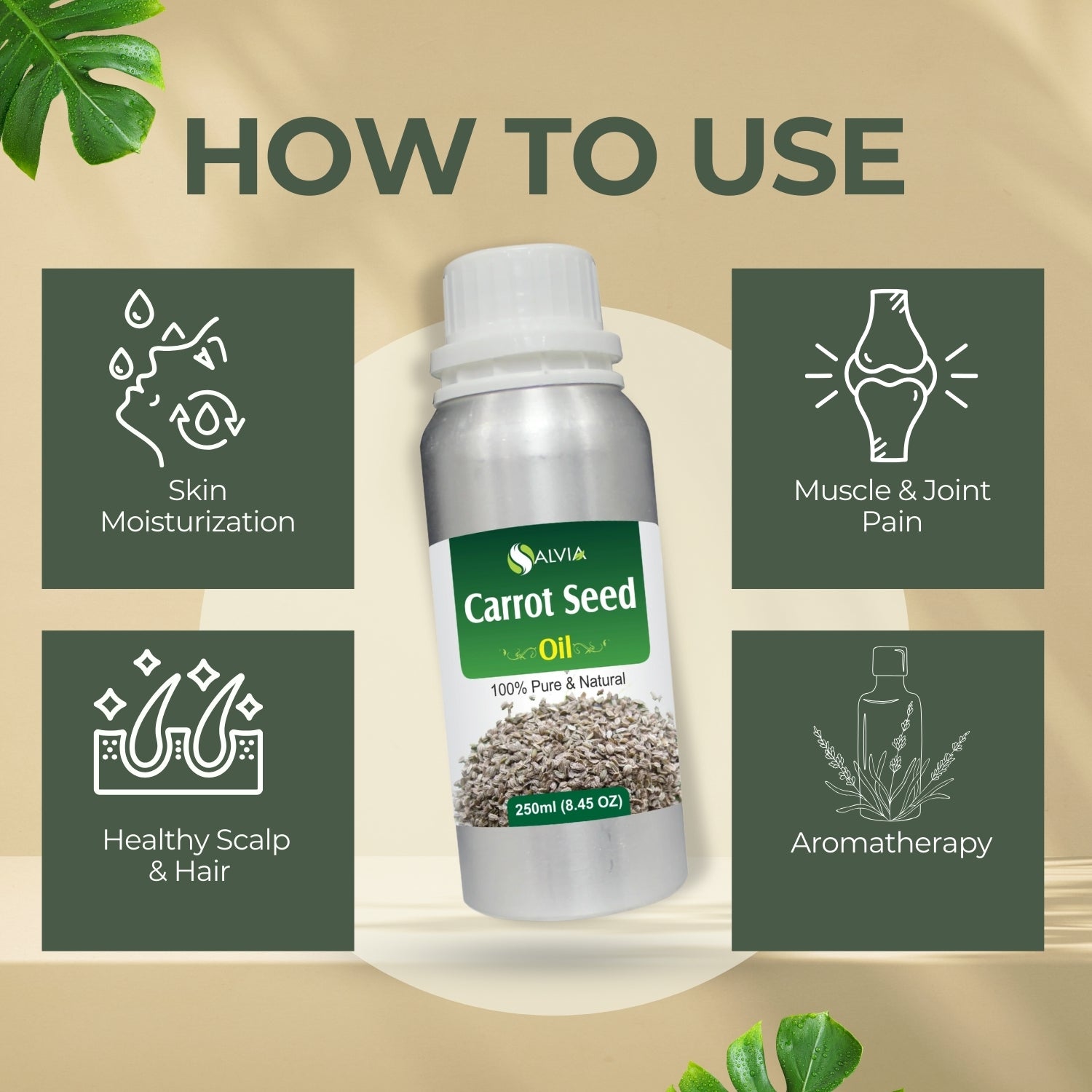 Carrot Seed Oil
