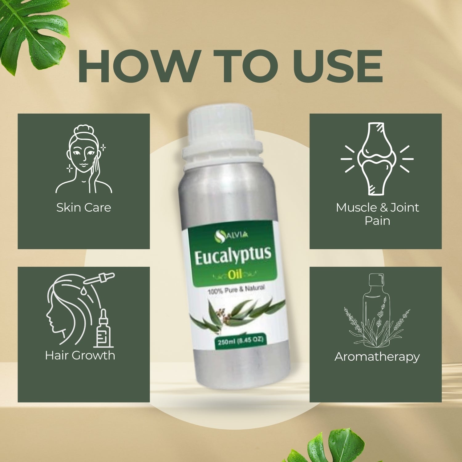 Eucalyptus Oil