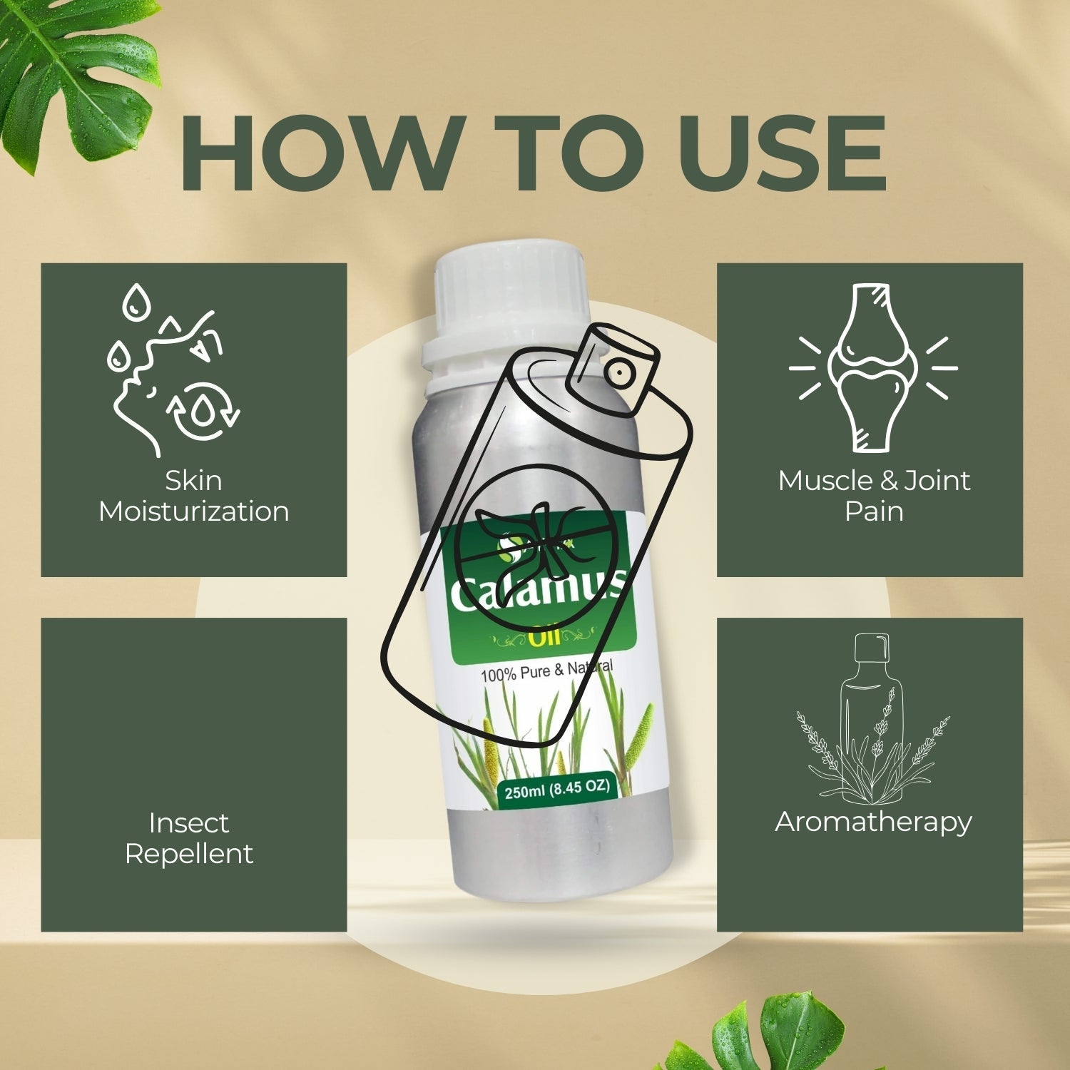 Calamus Essential Oil