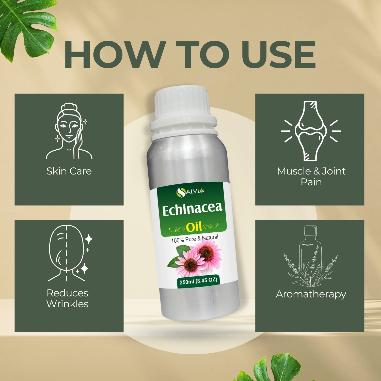 Echinacea Oil