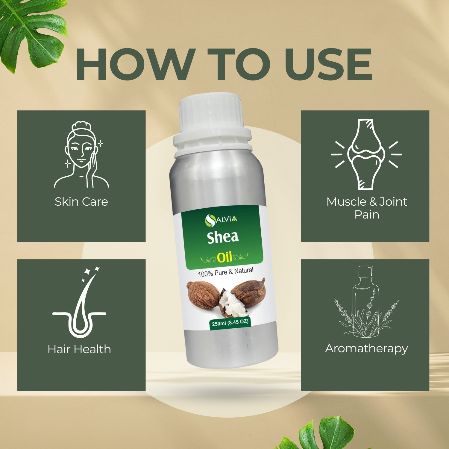 Shea Oil