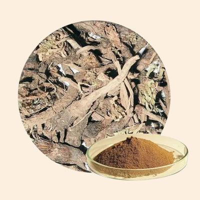 Akarkara Dry Extract