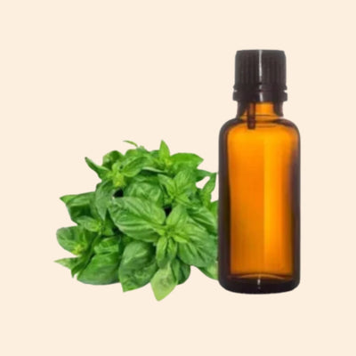Basil Herbal Liquid Extract