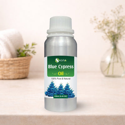 Blue Cypress Oil