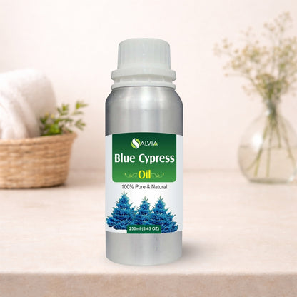 Blue Cypress Oil
