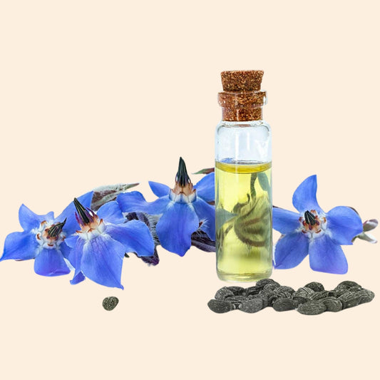Borage Herbal Liquid Extract