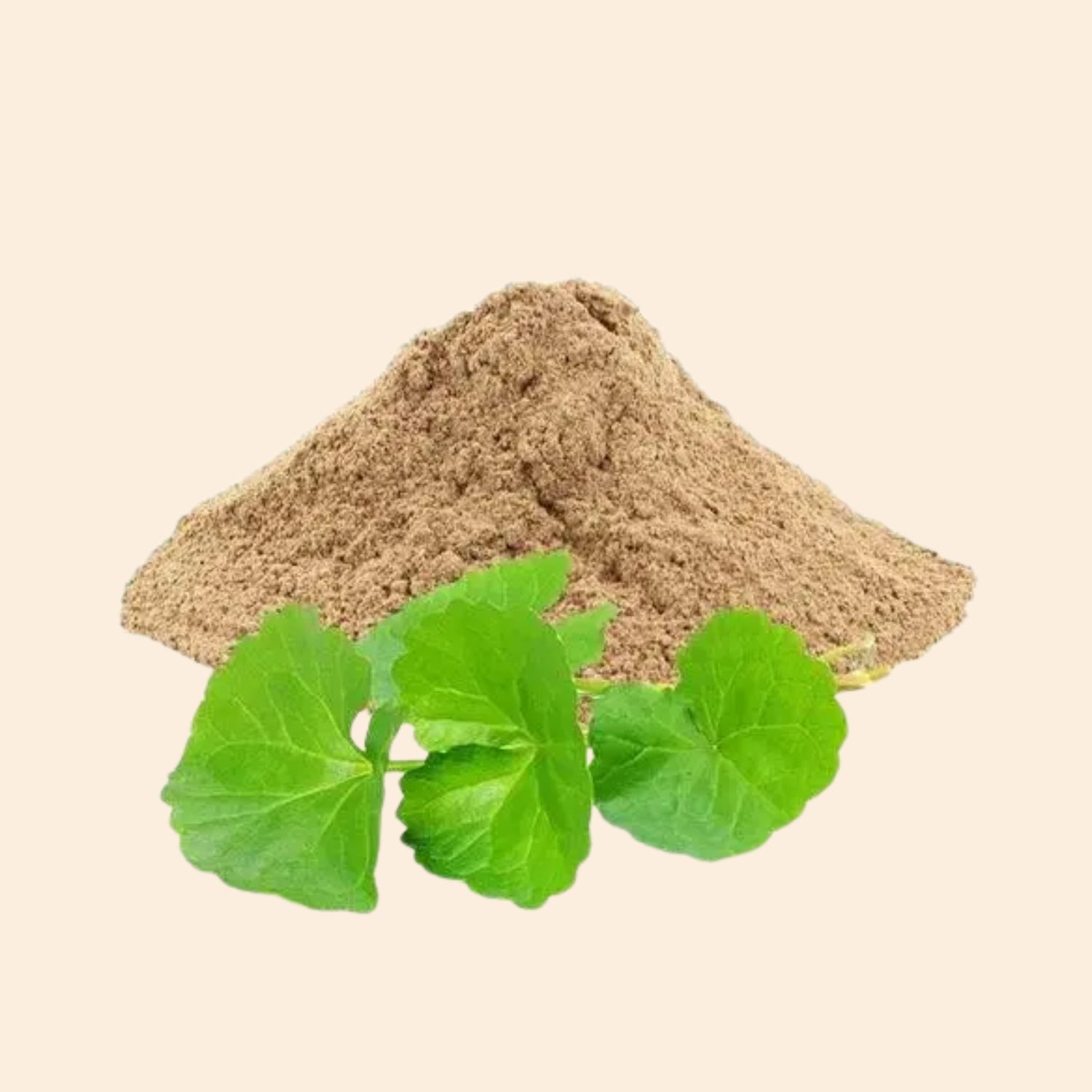 Organic Brahmi Powder