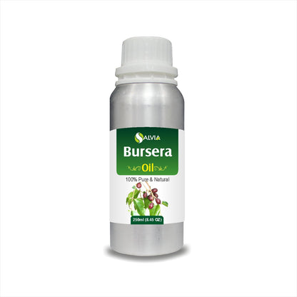 Bursera oil