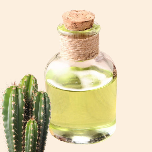 Cactus Herbal Liquid Extract