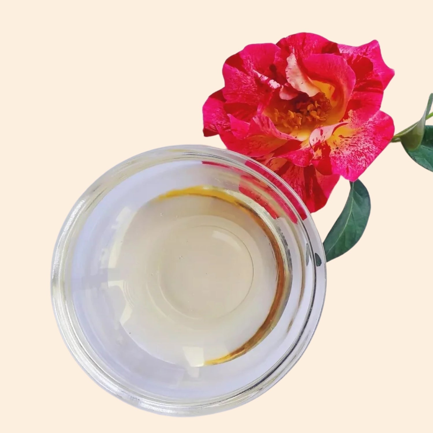 Camellia Hydrosols